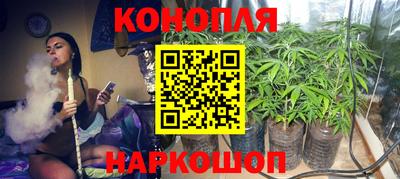 шишки Донецк