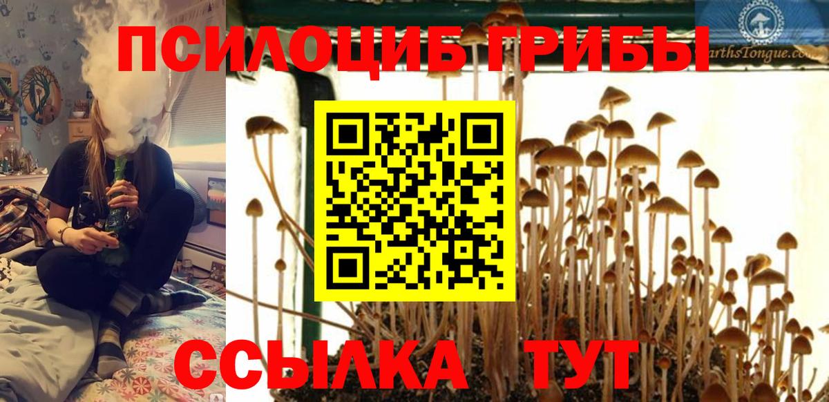 Галлюциногенные грибы прущие грибы  Вход с VPN  Глазов 